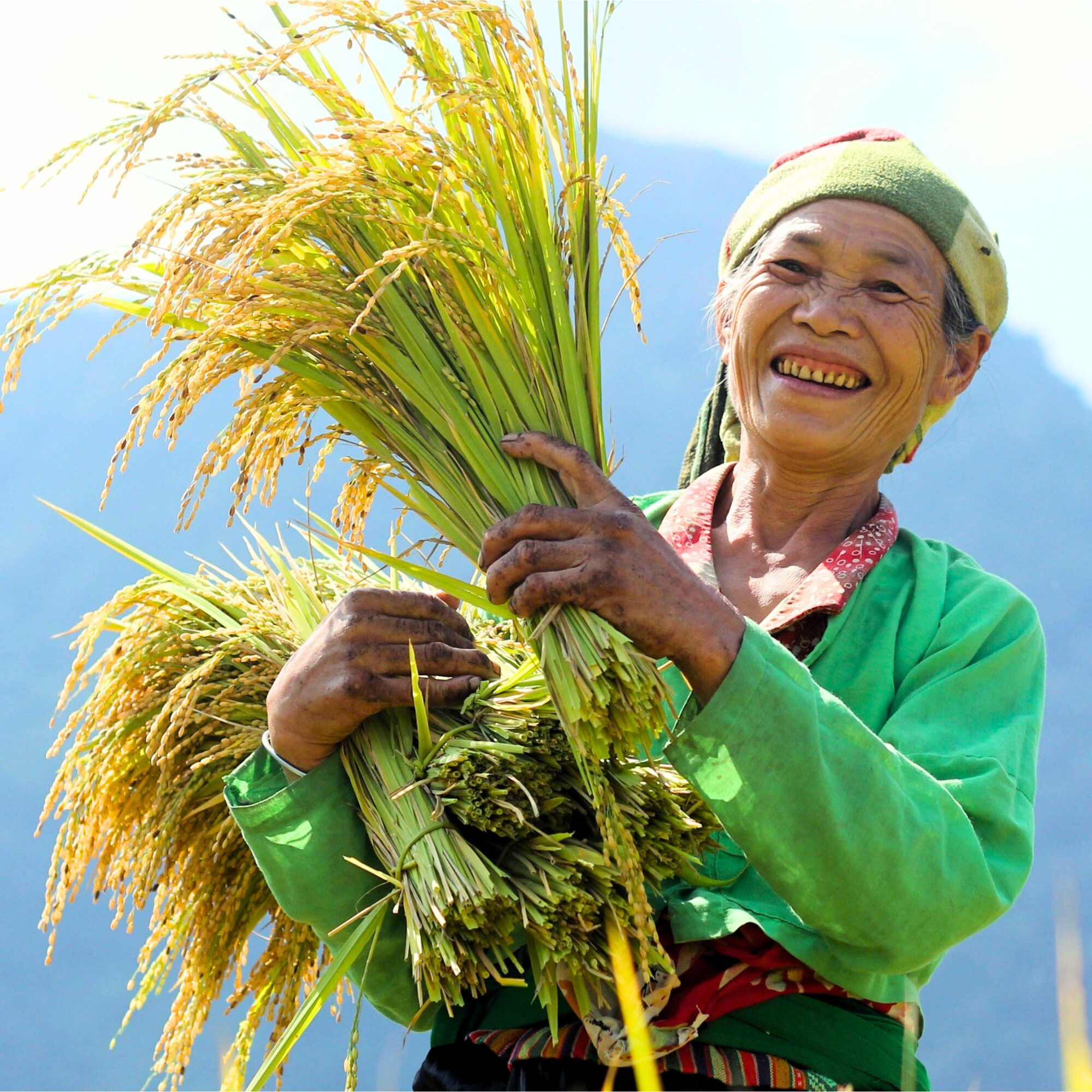 Làng Nông nghiệp di sản Bản Bướt