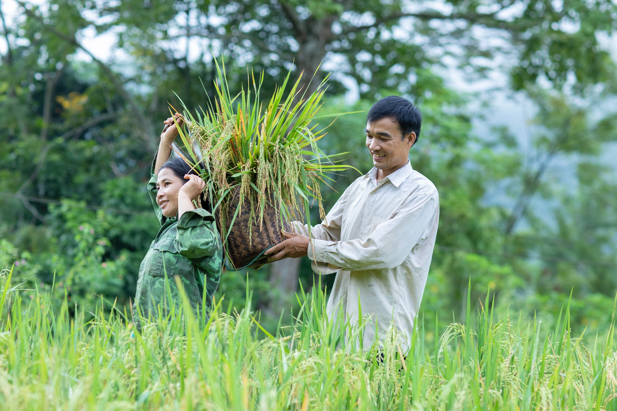 Tư vấn thị trường