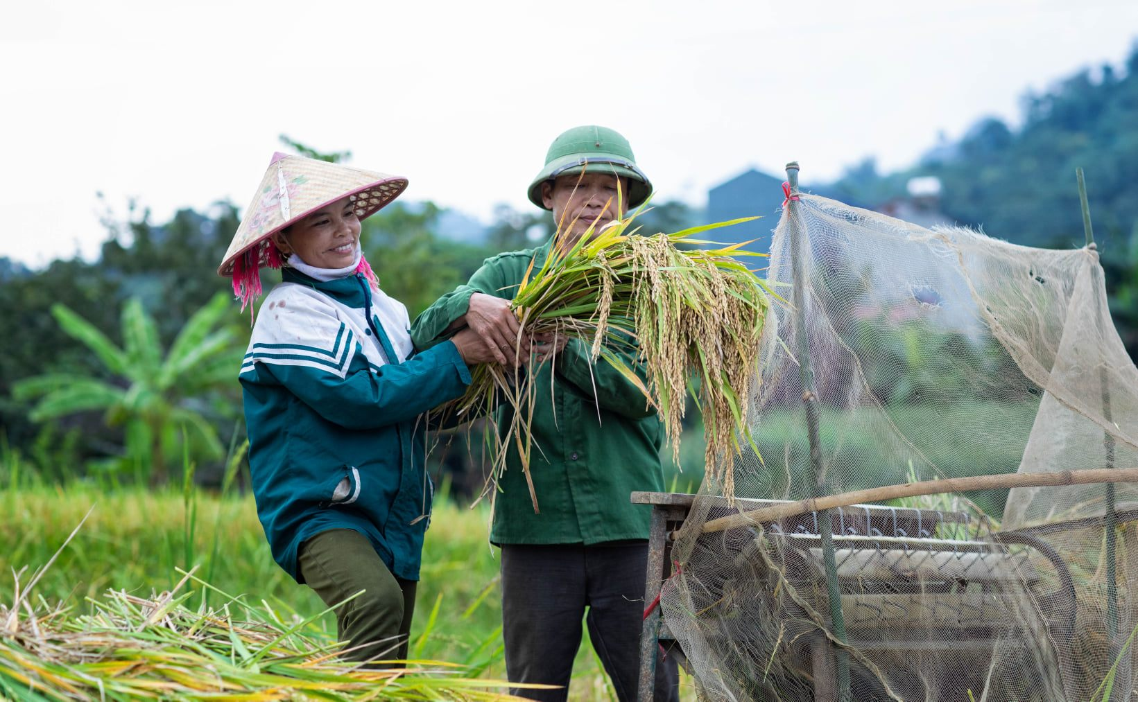 Làng Nông nghiệp di sản Phụ Mẫu